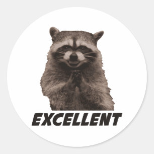 Sticker Rond Excellent Raccoon de lot de mal