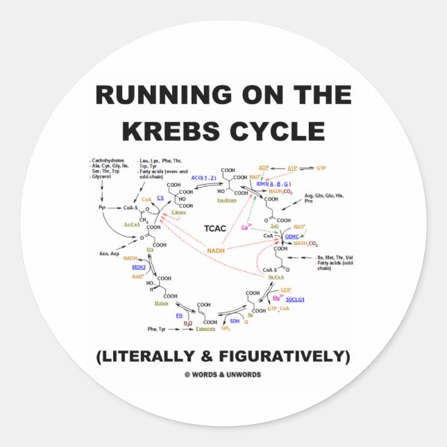 Sticker Rond Exécution Sur Le Cycle Krebs (Humour Scientifique) (Devant)