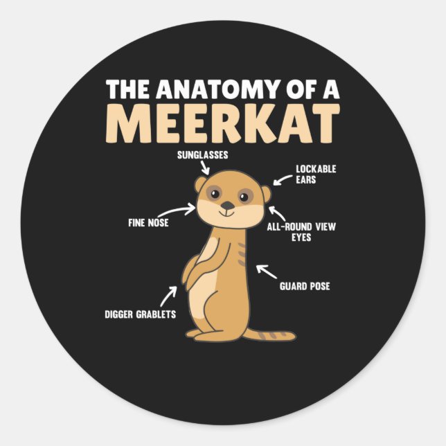 Sticker Rond Explication amusante de l'anatomie d'un Meerkat (Devant)