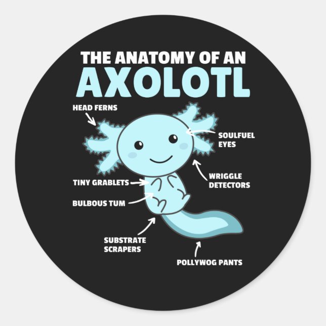 Sticker Rond Explication Axolotl Anatomie D'Un Axolotl (Devant)