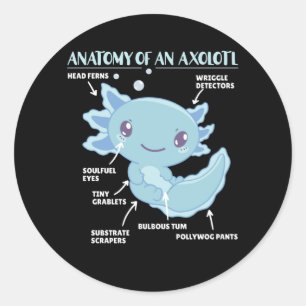 Sticker Rond Explication Axolotl Anatomie D'Un Axolotl