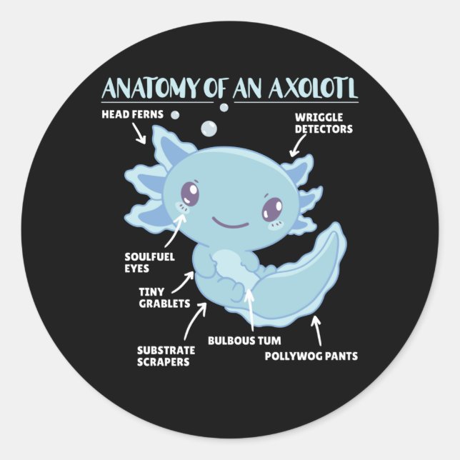 Sticker Rond Explication Axolotl Anatomie D'Un Axolotl (Devant)