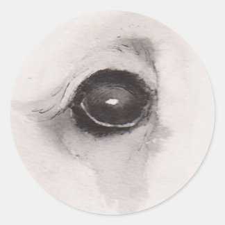 Sticker Rond Eye of the Bear – Gaze Collection