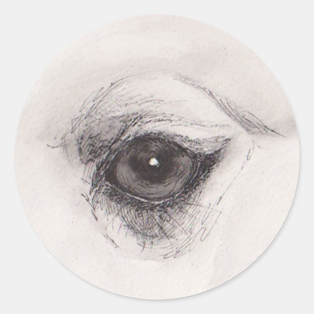 Sticker Rond Eye of the Camel – Gaze Collection (Devant)