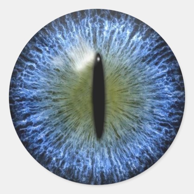 Sticker Rond Eyeball de chat Halloween effrayant (Devant)