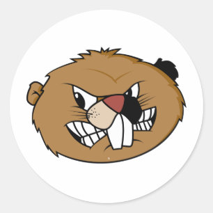 Sticker Rond Face de castor