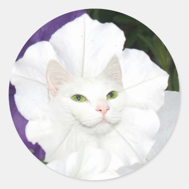 Sticker Rond Face de chat Petunia (Devant)