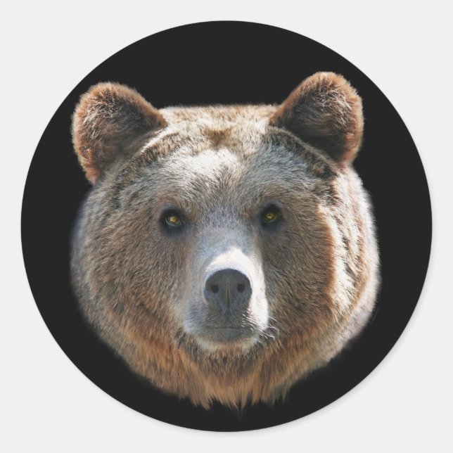 Sticker Rond Face de l'ours grizzli (Devant)