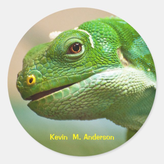 Sticker Rond Face de reptile vert rapprochée (Devant)