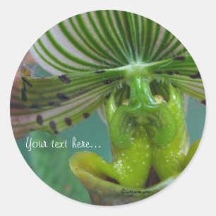 Sticker Rond Faire-part de mariage à orchidées rose vert