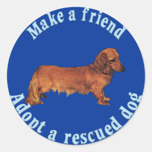 Sticker Rond Faire un ami - Dachshund