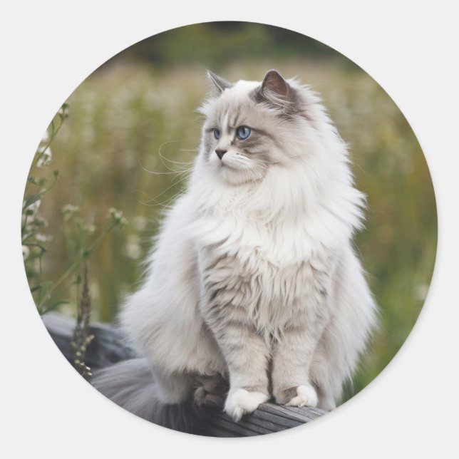 Sticker Rond Faites votre propre photo personnalisée Animaux de (Devant)