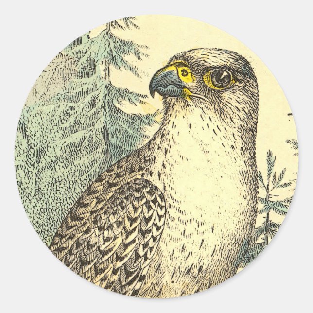 Sticker Rond Falcon (Devant)