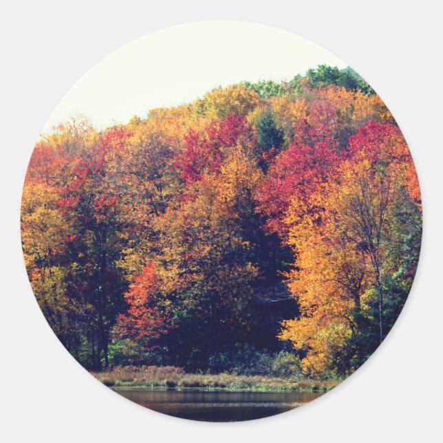 Sticker Rond Fall Folift Pond Nature (Devant)