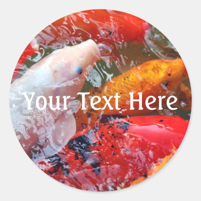 Sticker Rond Falln Gathering Koi (Devant)