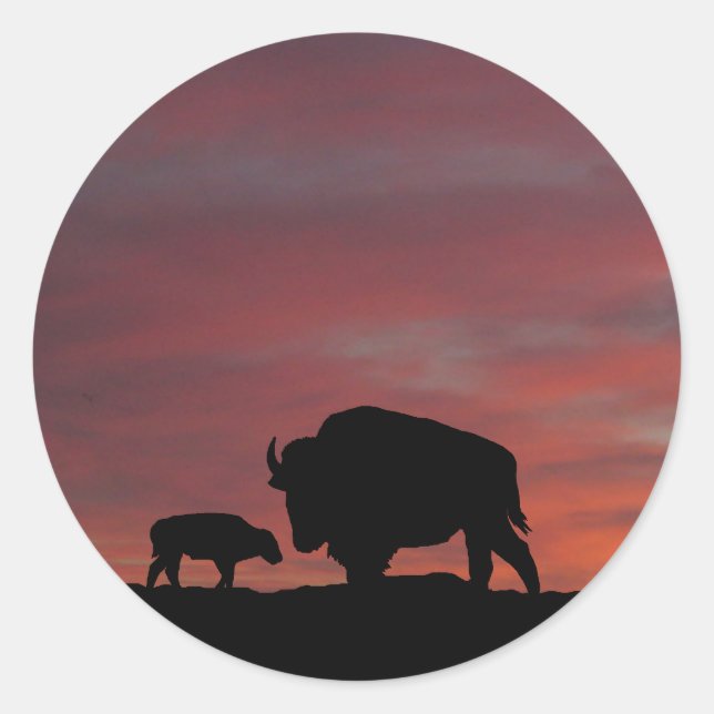Sticker Rond Famille Bison (Devant)