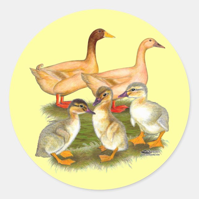 Sticker Rond Famille de canards Buff Orpington (Devant)