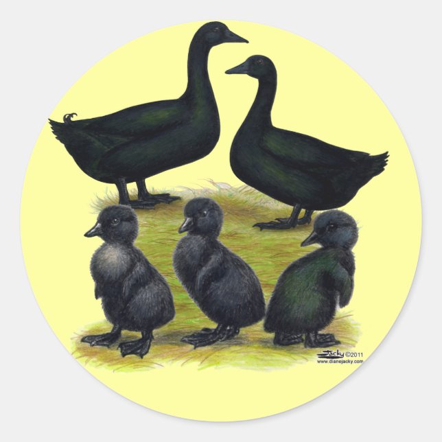Sticker Rond Famille de canards Cayuga (Devant)