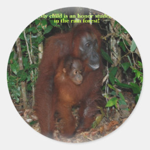 Sticker Rond Famille de l'animal mignon Orangutan Jungle