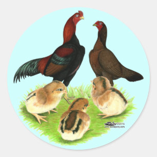 Sticker Rond Famille de poulet rouge noir Aseel