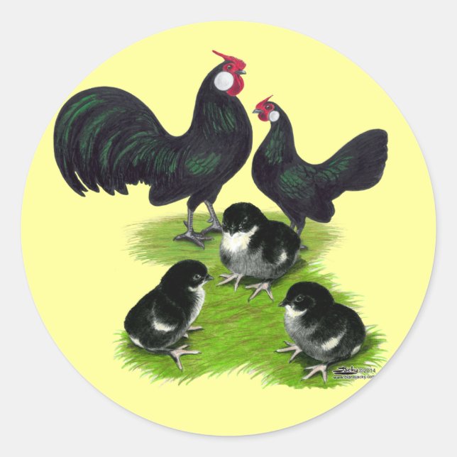 Sticker Rond Famille des Rosecomb Black Bantam (Devant)