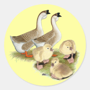 Sticker Rond Famille d'oie africaine buff