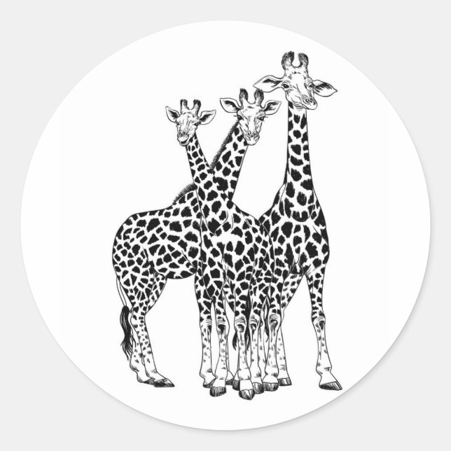 Sticker Rond Famille Giraffe (Devant)