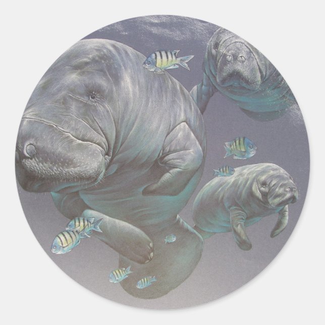 Sticker Rond Famille Manatee (Devant)