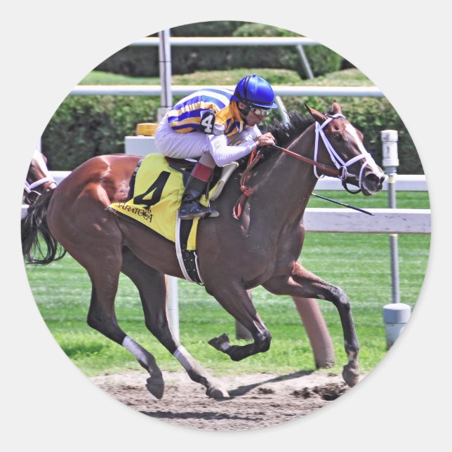 Sticker Rond Fashion Alert remporte le Schuylerville (Devant)