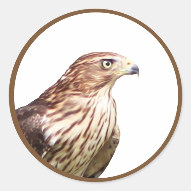 Sticker Rond Faucon (Devant)