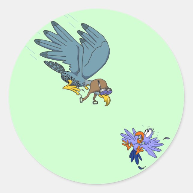 Sticker Rond Faucon aux lunettes (Devant)