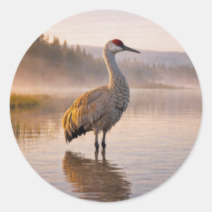 Sticker Rond Faune Grue des collines Marais