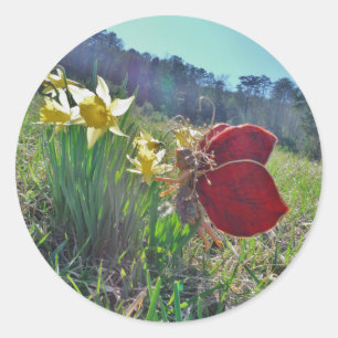 Sticker Rond fée à aile rouge et jonquilles