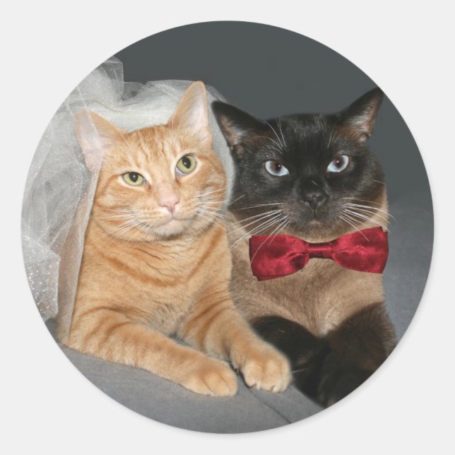 Sticker Rond Feline Bride et Groom (Devant)