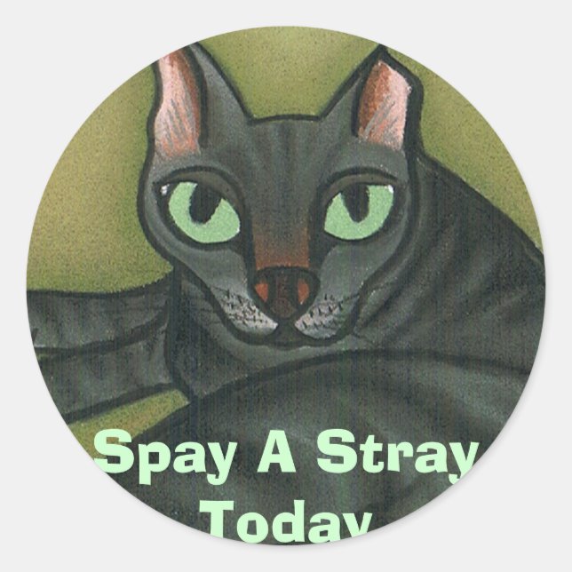 Sticker Rond Feral cat, Spay A Stray Today - Customisé (Devant)