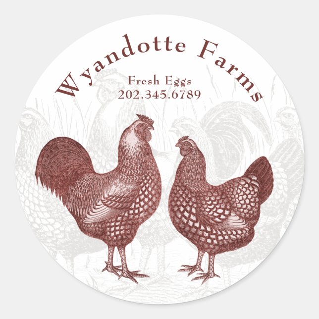 Sticker Rond Ferme de volaille Wyandotte Poulets OEufs frais (Devant)