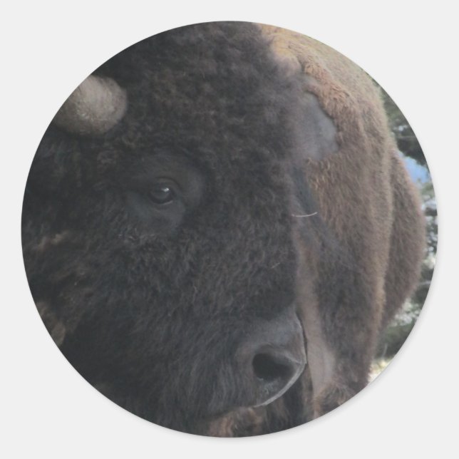 Sticker Rond Fermer et personnel (Devant)