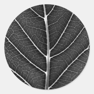 Sticker Rond Fermeture de la feuille brillante noire et blanche
