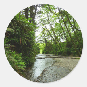 Sticker Rond Fern Canyon II au parc national Redwood