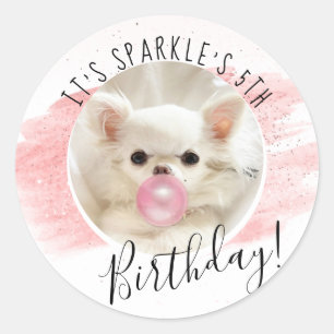 Sticker Rond Fête d'anniversaire du chien mignon   Étincelle Le