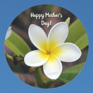 Sticker Rond Fête des mères Plumeria jaune et blanc Photo