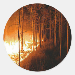 Sticker Rond Feu de feu