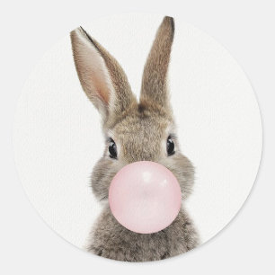 Sticker Rond Feu de lapin rose bulle gomme