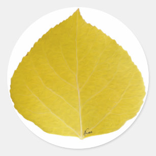 Sticker Rond Feuille d'Aspen jaune #5