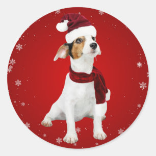 Sticker Rond Feuille d'autocollants de Noël de Chien père Noël