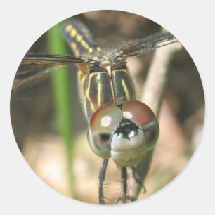 Sticker Rond Feuille d'autocollants "Dragonfly Smile"