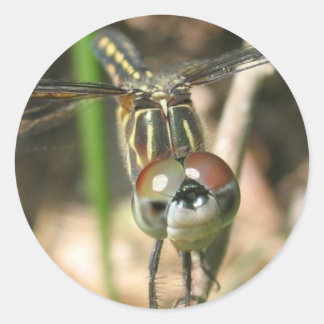 Sticker Rond Feuille d'autocollants "Dragonfly Smile"