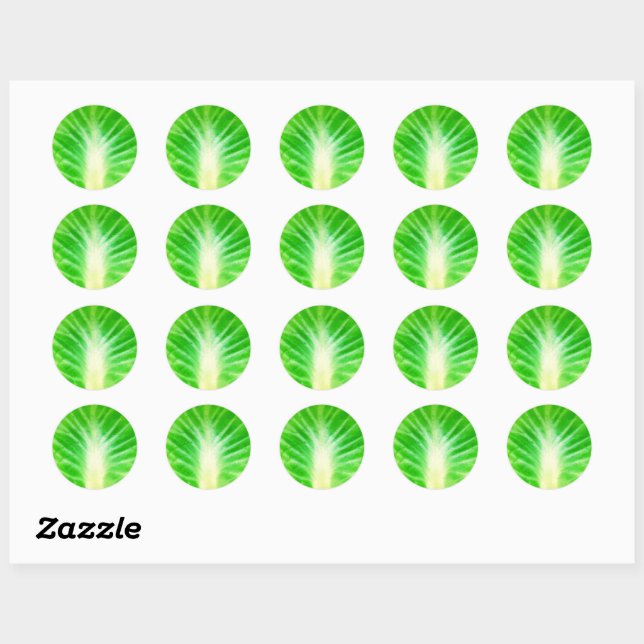 Sticker Rond Feuille de choux (Feuille)