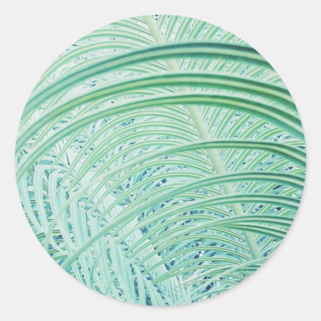 Sticker Rond Feuille de palmier de plante verte douce (Devant)