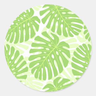Sticker Rond Feuille de plante tropicale - motif de Monstera